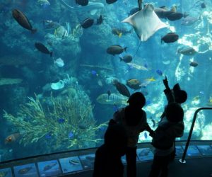 Students visiting the Long Beach Aquarium